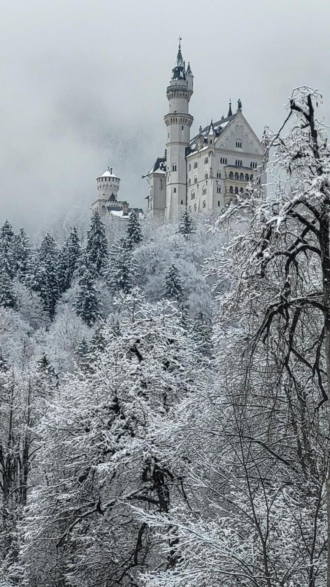 House La Neuschwanstein Blick - Budget City Hotel Füssen Buitenkant foto