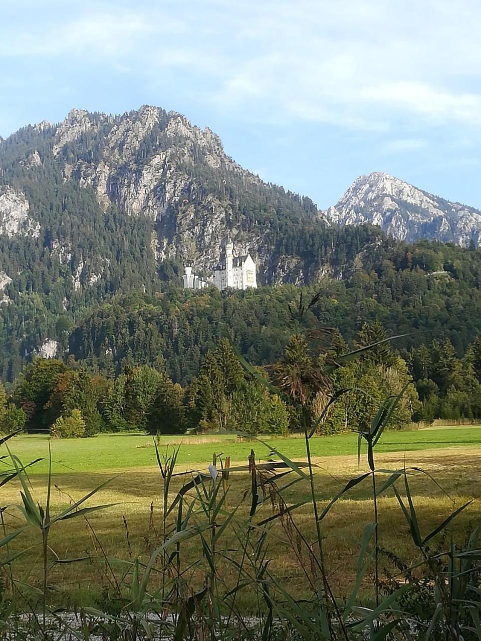 House La Neuschwanstein Blick - Budget City Hotel Füssen Buitenkant foto